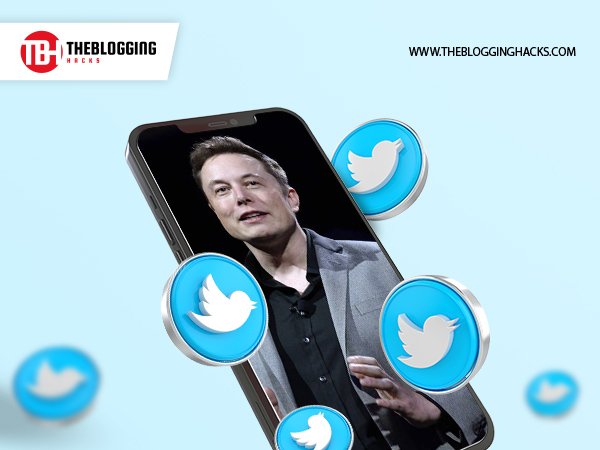 Elon Musk Purchases Twitter What’s in Store for the Public